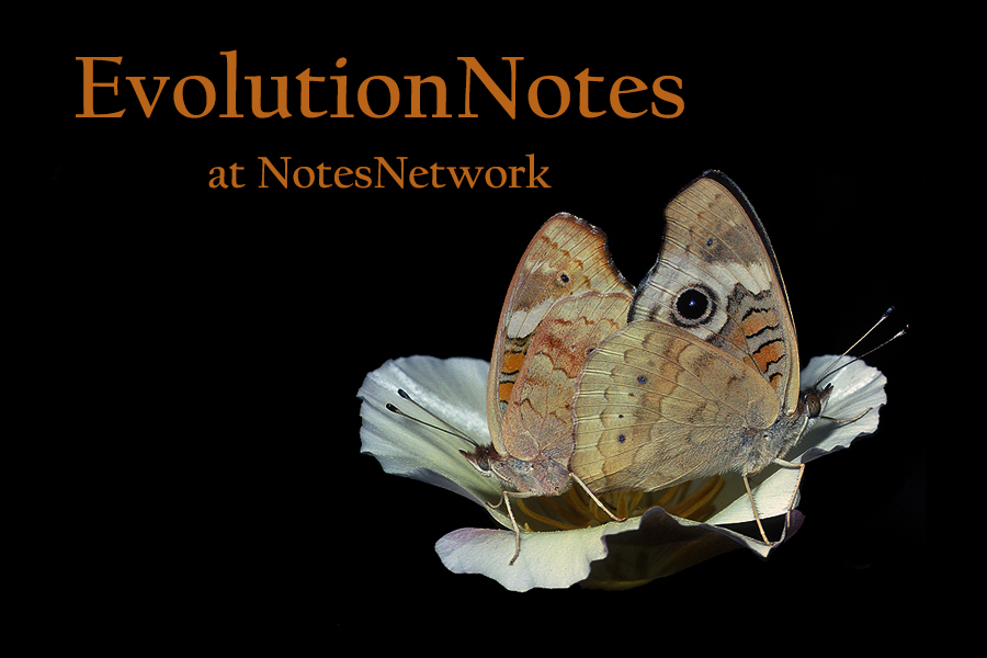  Evolution Notes 